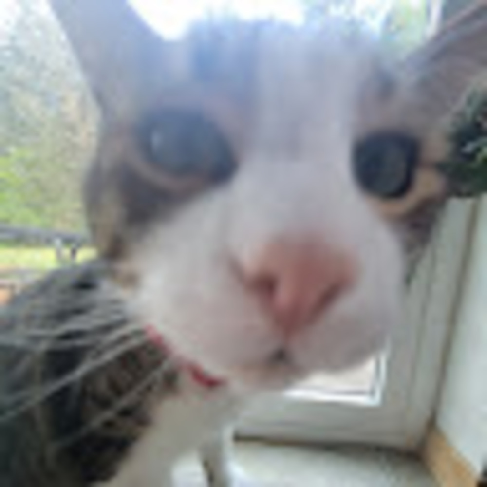 Meet your Posher, Hope